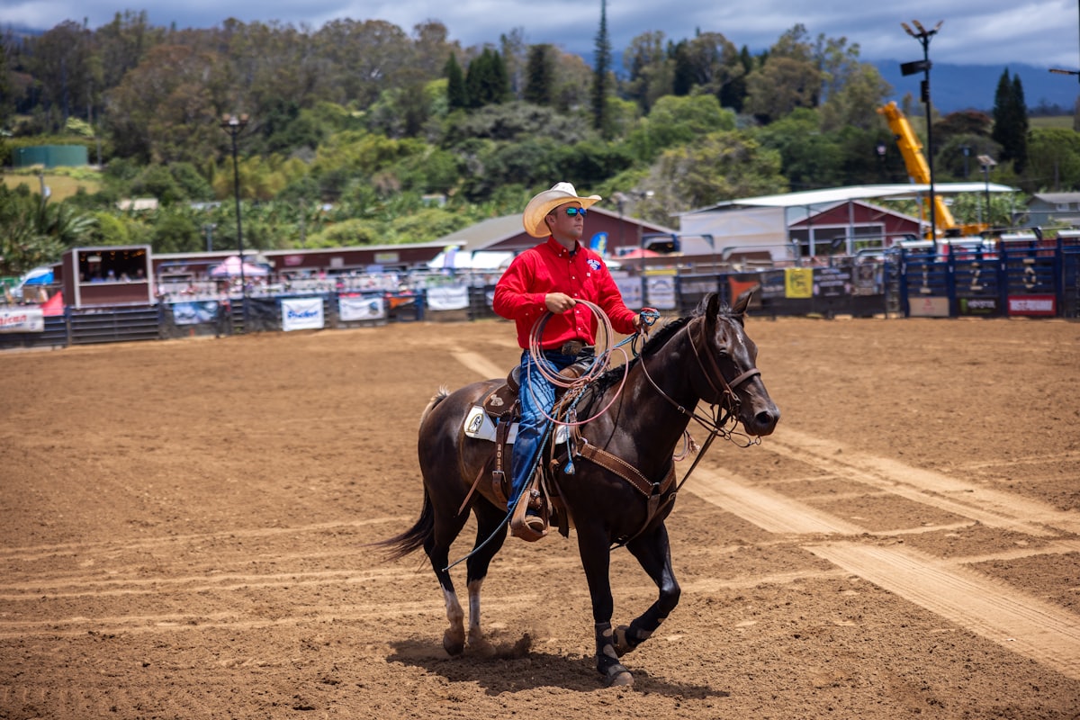 Cowboy on horseback in a rodeo arena.